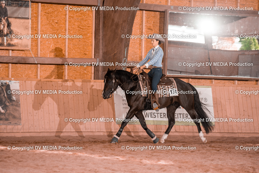 NE300542 | dv-media-shop - Realisiert mit Pictrs.com