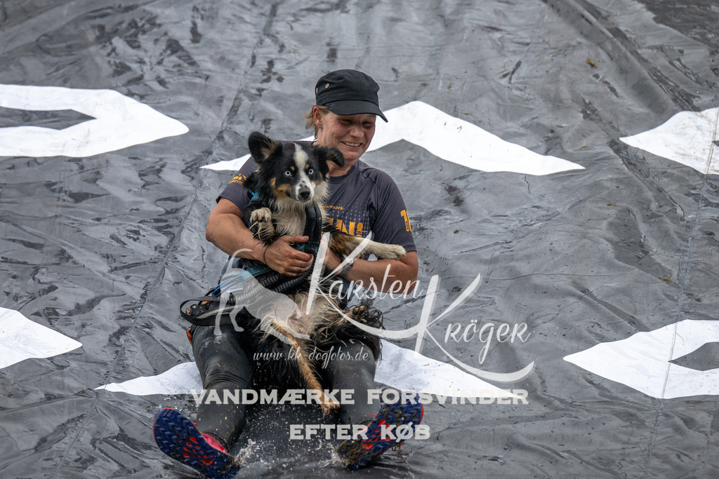 1334_ZZ92279 | kk-dogfotos