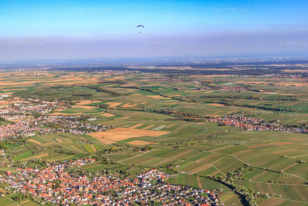 Luftbild: Weinberge der Südpfalz im Ortsteil Arzheim in Landau im Bundesland Rheinland-Pfalz in Deutschland. Foto: IMG_56617.jpg vom 25.04.2013 durch Werner Riehm/FLY-FOTO.deAuflösung des Originals: 4523 x 3015 px
