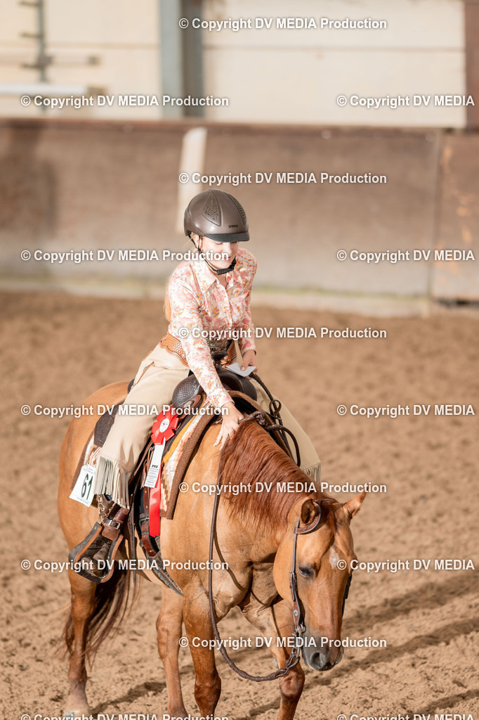 LM Heiligenwald Tag 3-730 | dv-media-shop - Realisiert mit Pictrs.com