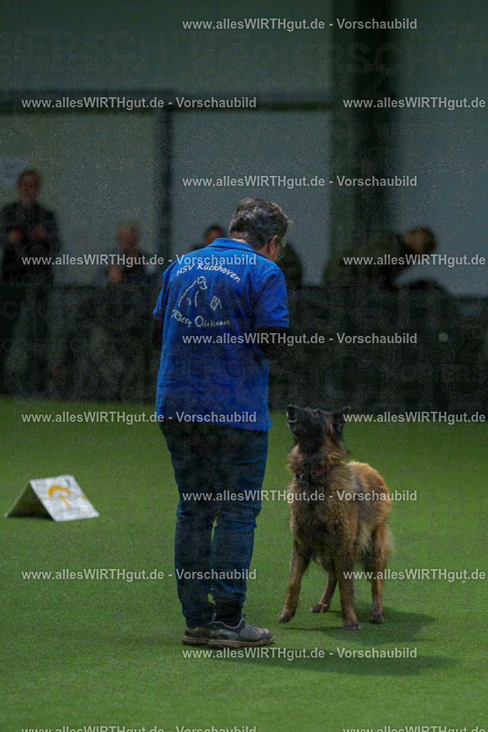 7R507854 | Professionelle Tierfotografie in Mönchengladbach von Daniel Wirth (allesWIRTHgut). Liebevolle & natürliche Bilder von Hunden & Katzen für unvergessliche Erinnerungen.