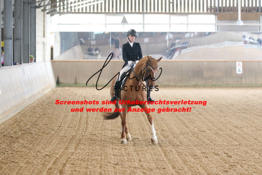 IMG_0585 | lmwpictures - Realisiert mit Pictrs.com