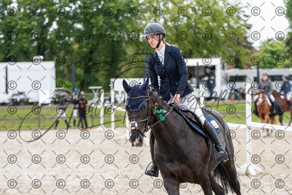 KPT_7861 | andre_photographic