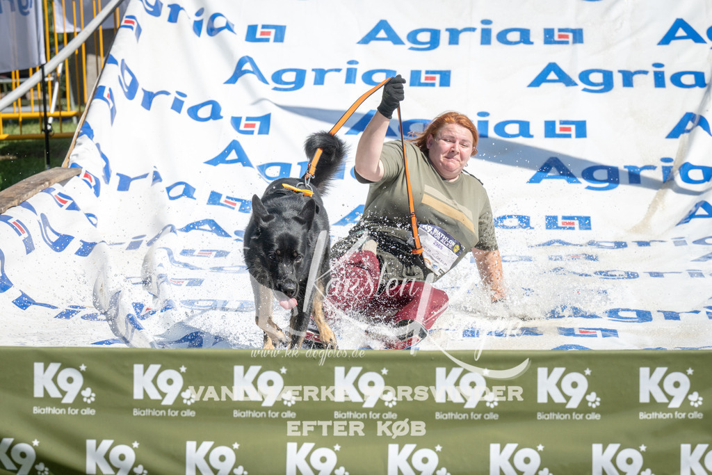 1215_ZZ95709 | kk-dogfotos