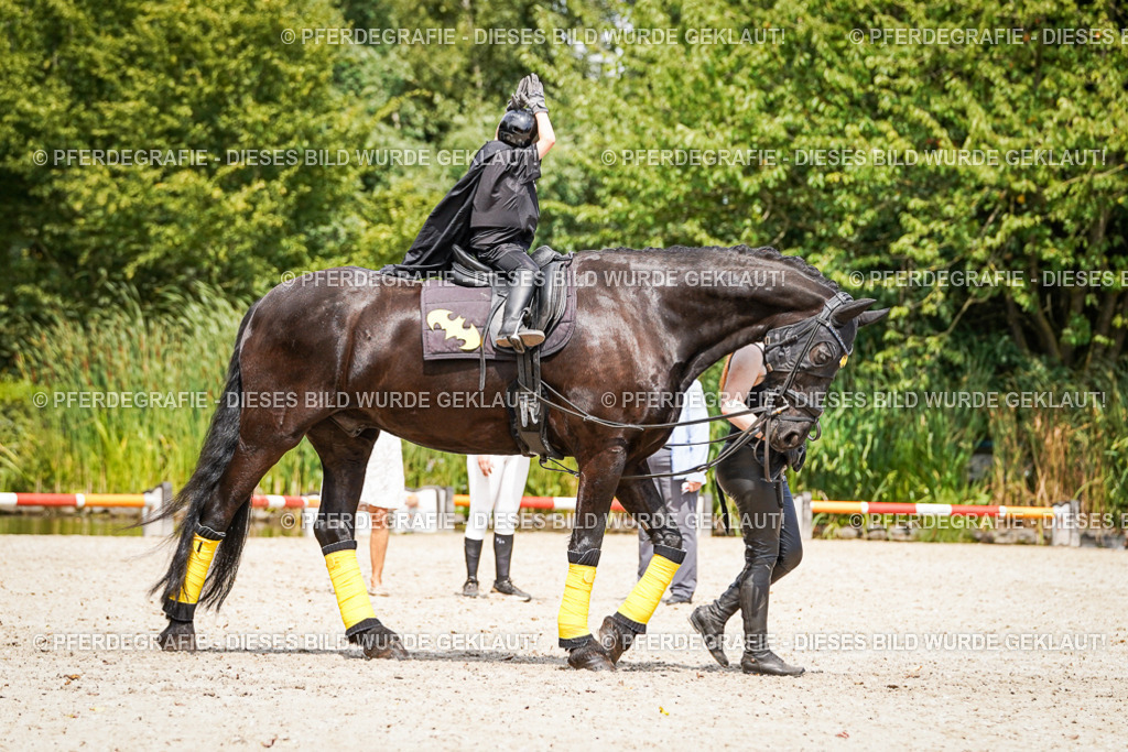 DSC03074 | Pferdegrafie