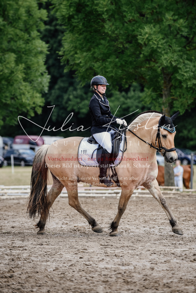 DSC_1713 | Pferde- und Turnierfotografie in Westsachsen. Pferdeportraits, Auftragszeichnungen und intuitive Kunst.