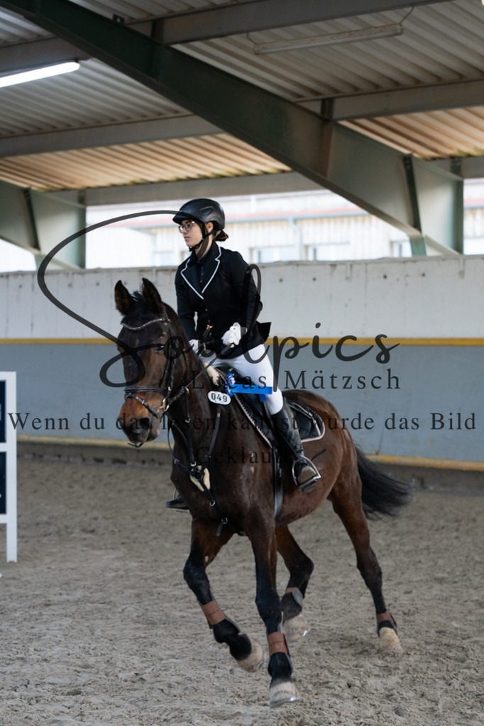 A7V02671 | Pferdefotograf