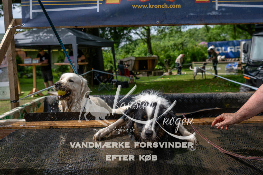 1125_ZZ94179 | kk-dogfotos