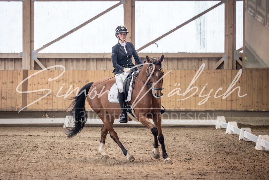 20251011-_3LI9414 | Tierfotografie Pferde, Hunde, Katzen, Haustiere.
Turnierfotografie Reitturniere, Reiten, Springreiten, Dressur in Hanau, dem Main-Kinzig-Kreis und dem Rhein-Main- Gebiet um Frankfurt