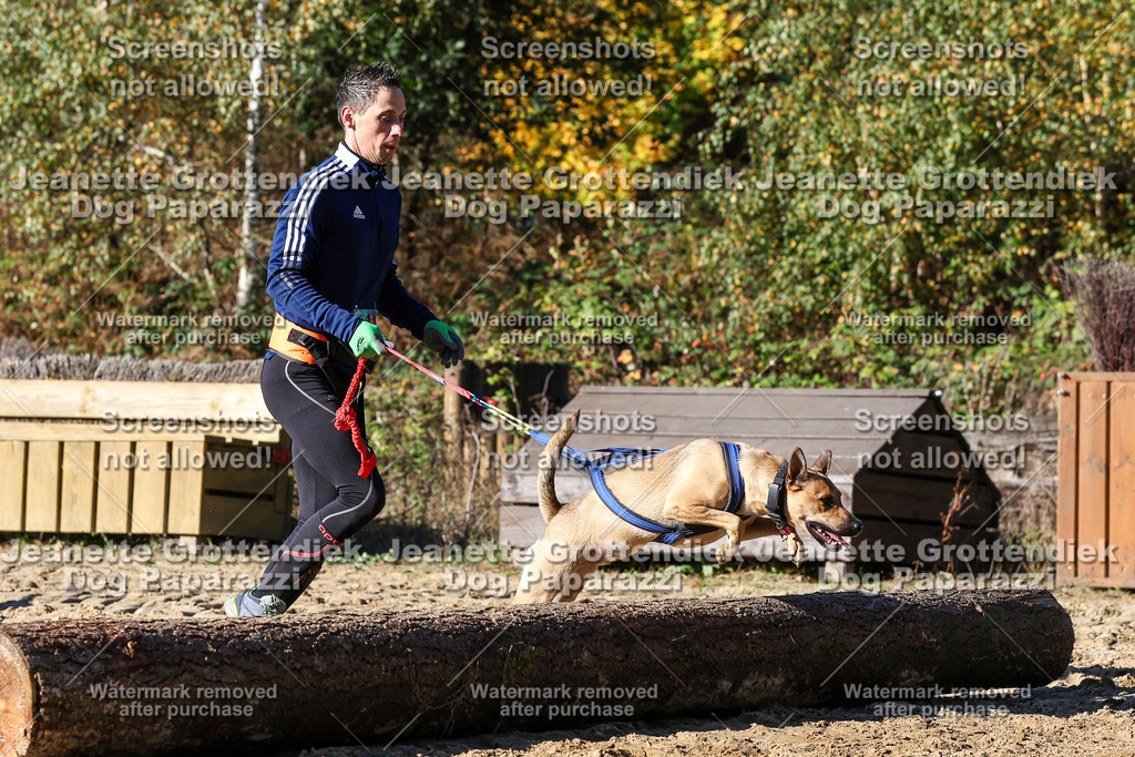 Dog Paparazzi - Strongdog 10-25-2556 | Dog Paparazzi Jeanette Grottendiek Fotografie & Videografie - Realisiert mit Pictrs.com