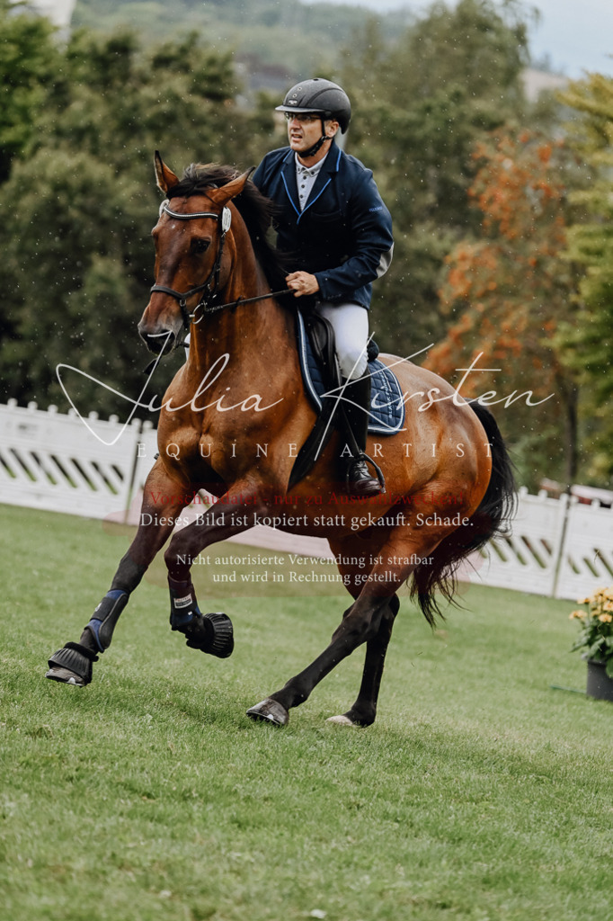 DSC_6993 | Pferde- und Turnierfotografie in Westsachsen. Pferdeportraits, Auftragszeichnungen und intuitive Kunst.