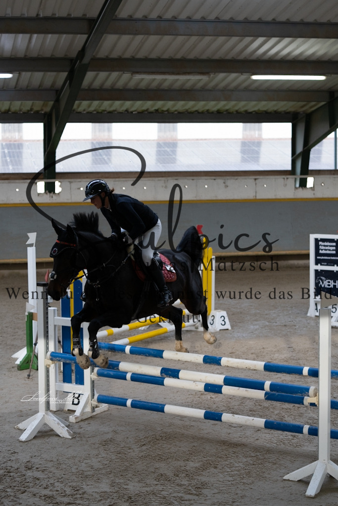 A7V01508 | Pferdefotograf