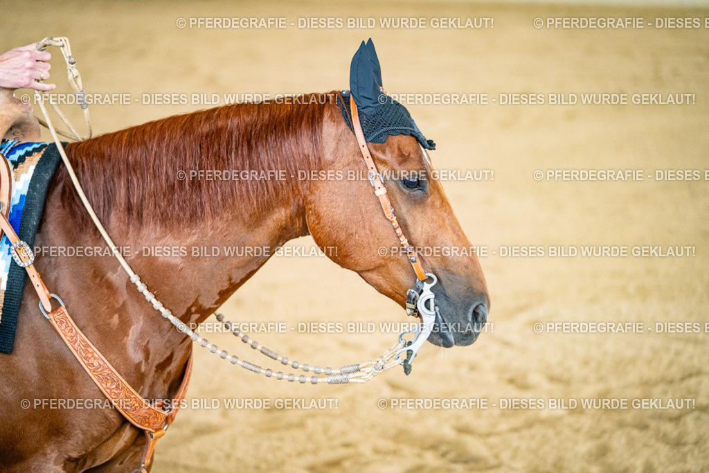 DSC00168 | Pferdegrafie