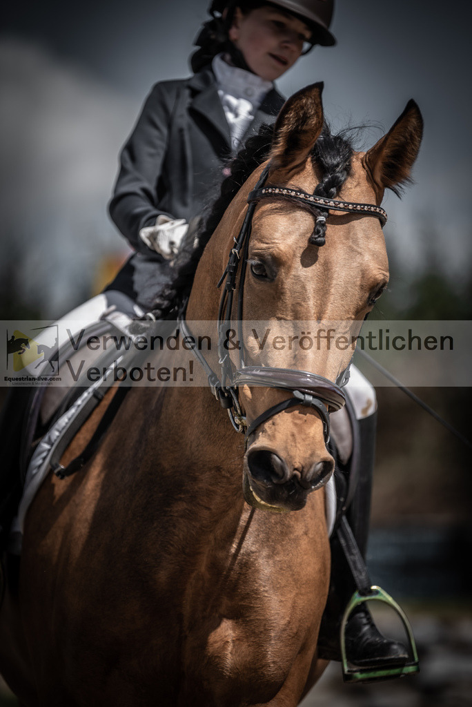 DSC_0933 | equestrian-live-com