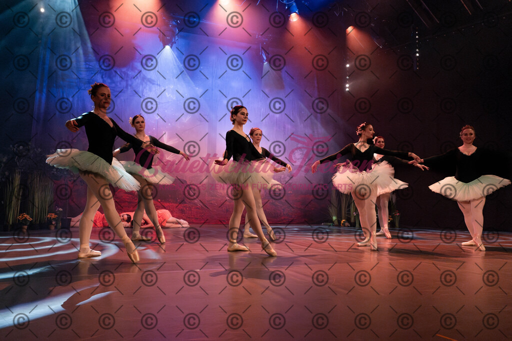 Ballettaufführung-1100 | Bildershop Lem'n Entertainment - Realisiert mit Pictrs.com