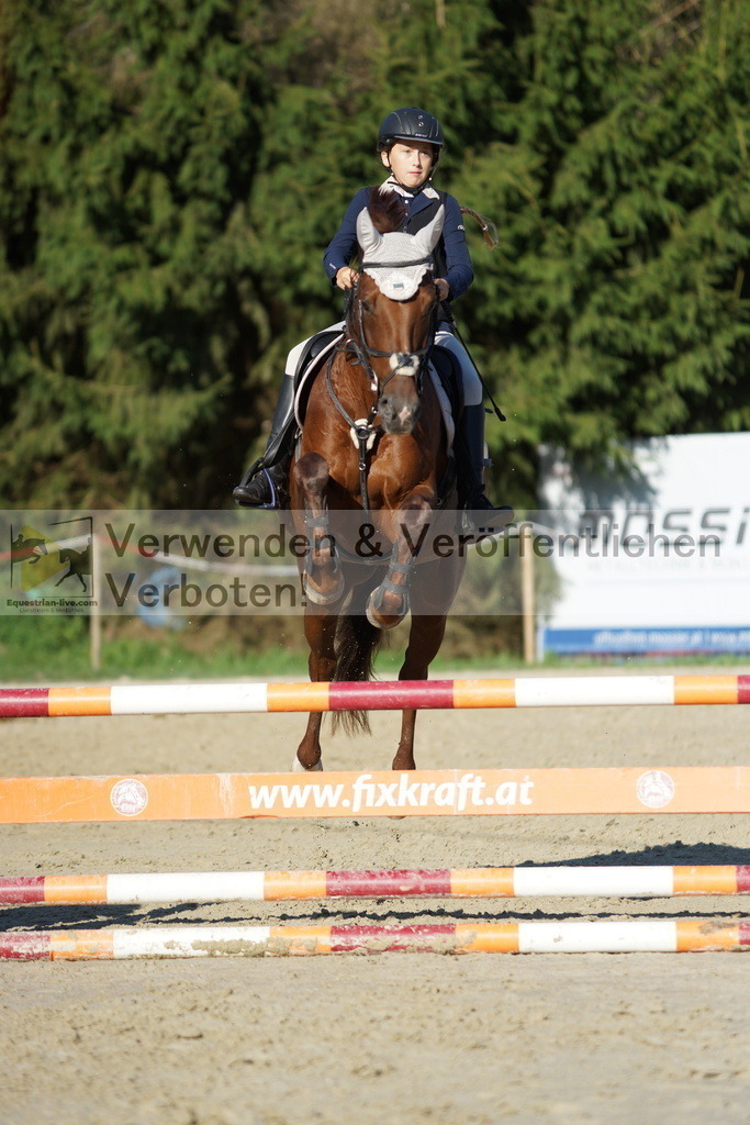 DSC09491 | equestrian-live-com