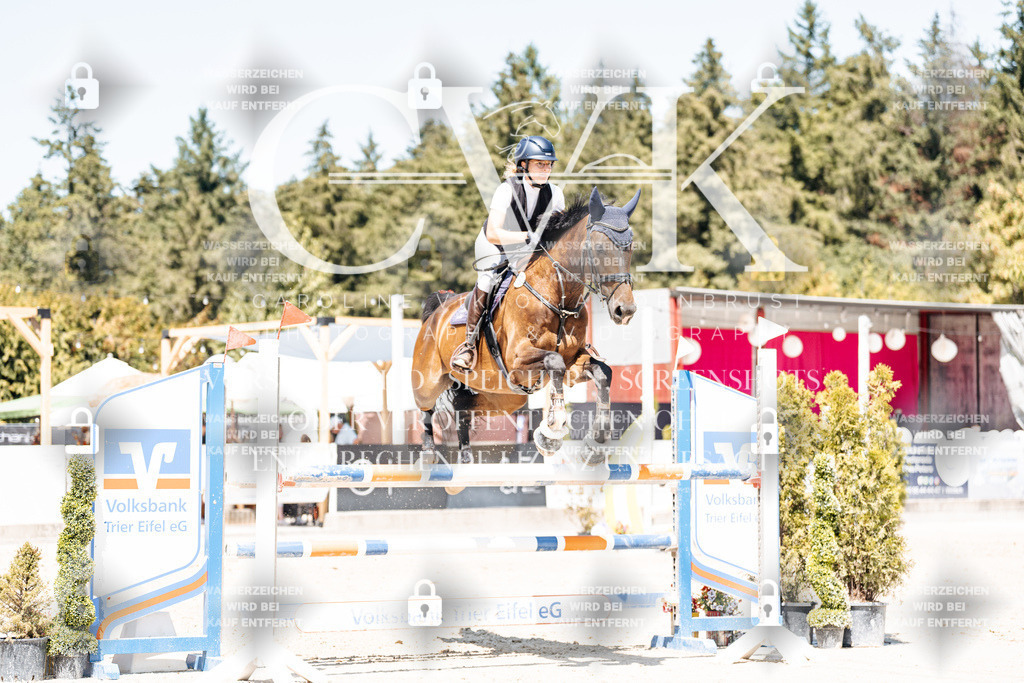 CK900384 | Turnierfotografie Pferdefotografie Trier Rheinland-Pfalz Pferdesport Reitsport Tierfotografie Sportfotografie Pferdevideo Pferdevideografie Equestrianvideography equestrianphotography  - Realisiert mit Pictrs.com