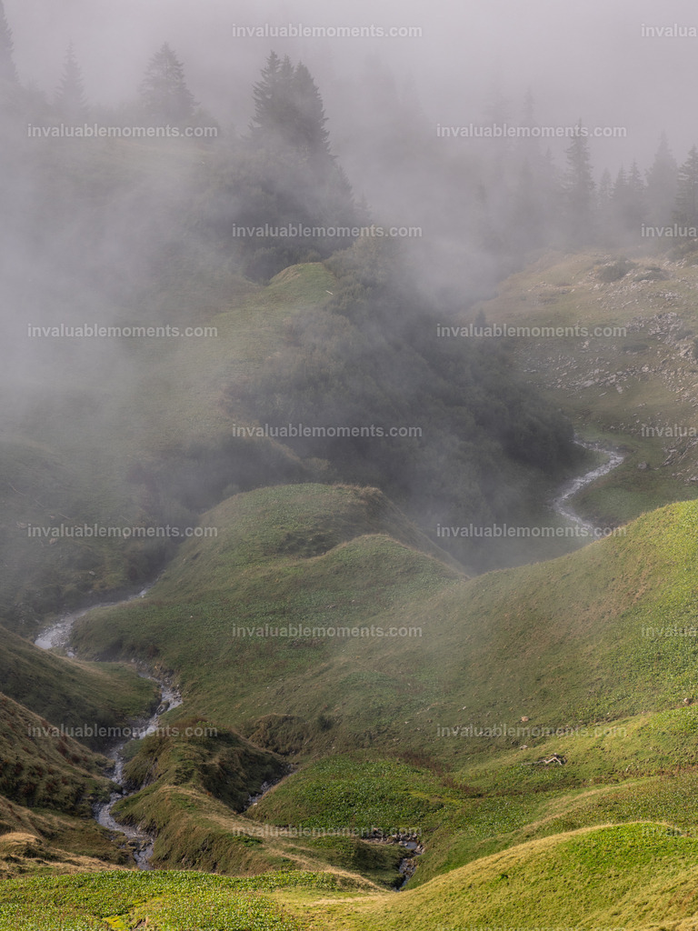 DSC_9520 | invaluablemoments.com - Realisiert mit Pictrs.com