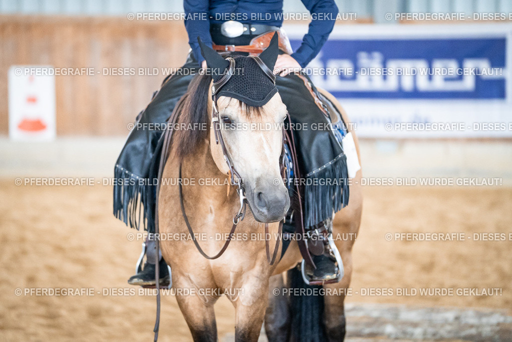 DSC03465 | Pferdegrafie