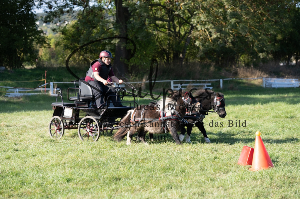 A7V04616 | Pferdefotograf