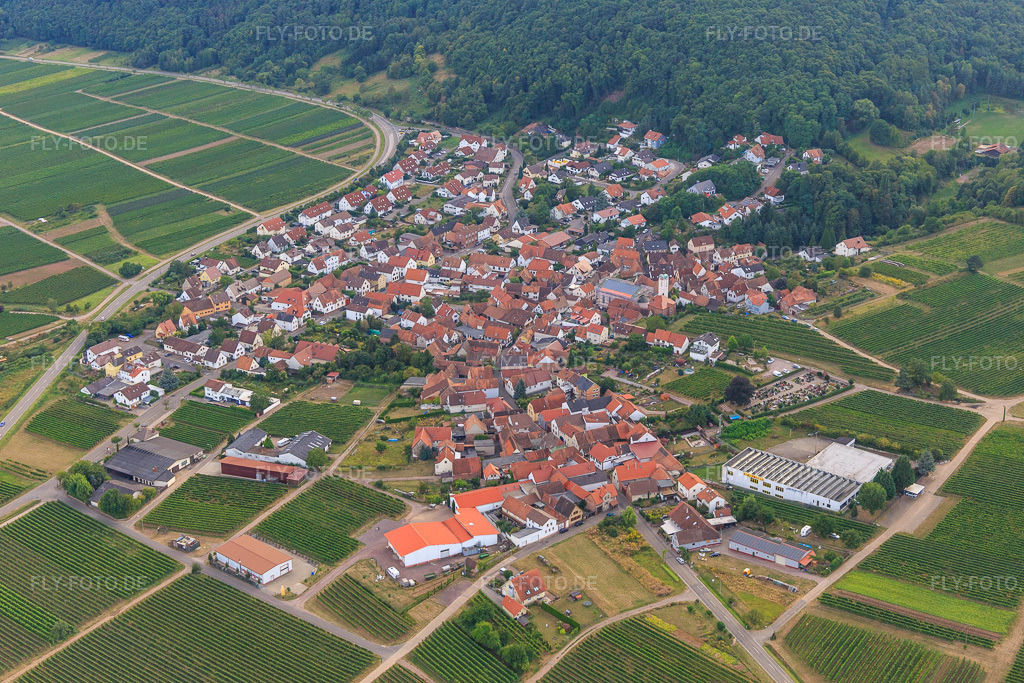 Luftbild: Winzerdorf zu Füßen des Haardtrands aus Nordosten in Eschbach im Bundesland Rheinland-Pfalz in Deutschland. Foto: IMG_094584.jpg vom 02.09.2016 durch Werner Riehm/FLY-FOTO.de