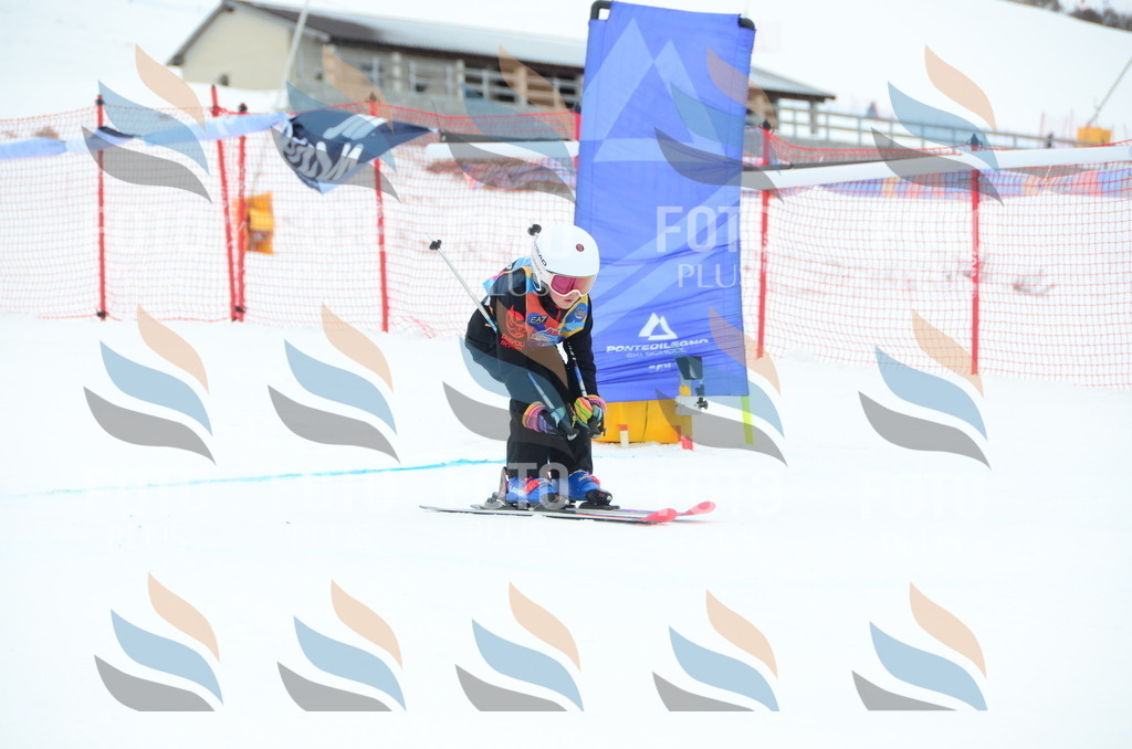 DSC_1169 | holidayphoto