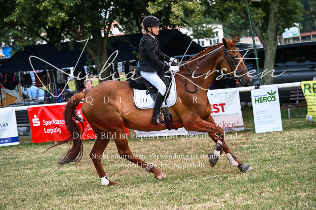 DSC_8444 | Pferde- und Turnierfotografie in Westsachsen. Pferdeportraits, Auftragszeichnungen und intuitive Kunst.