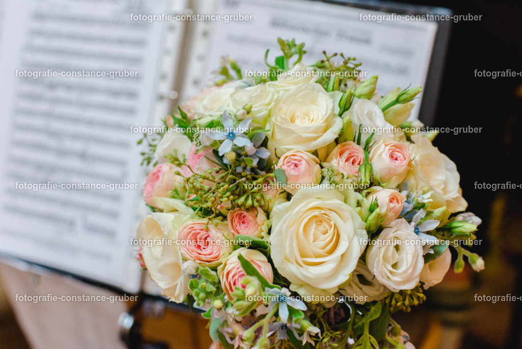 1021 | Fotografie Constance Gruber - Realisiert mit Pictrs.com