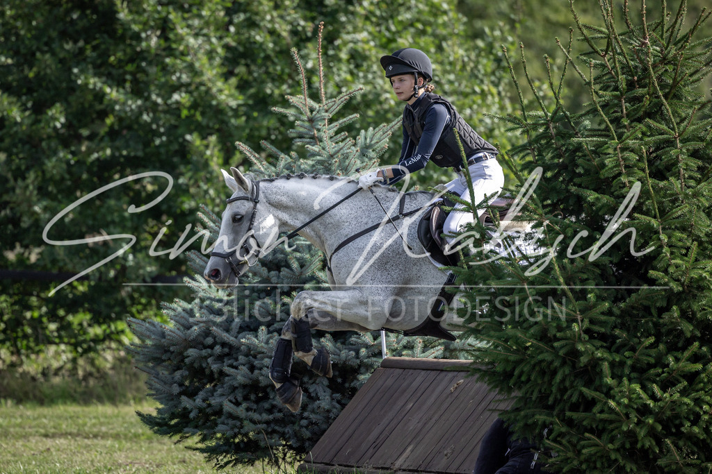 20250907-_3LI9639 | Tierfotografie Pferde, Hunde, Katzen, Haustiere.
Turnierfotografie Reitturniere, Reiten, Springreiten, Dressur in Hanau, dem Main-Kinzig-Kreis und dem Rhein-Main- Gebiet um Frankfurt