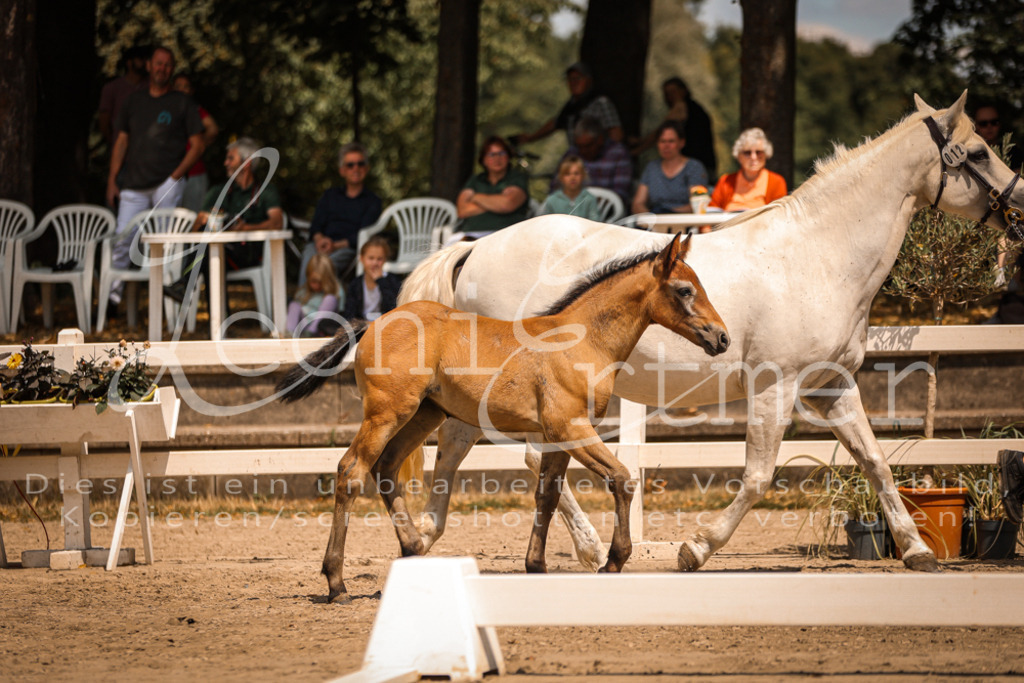 02.DoSR00155 | Leoni Ertmer Photography - Realisiert mit Pictrs.com