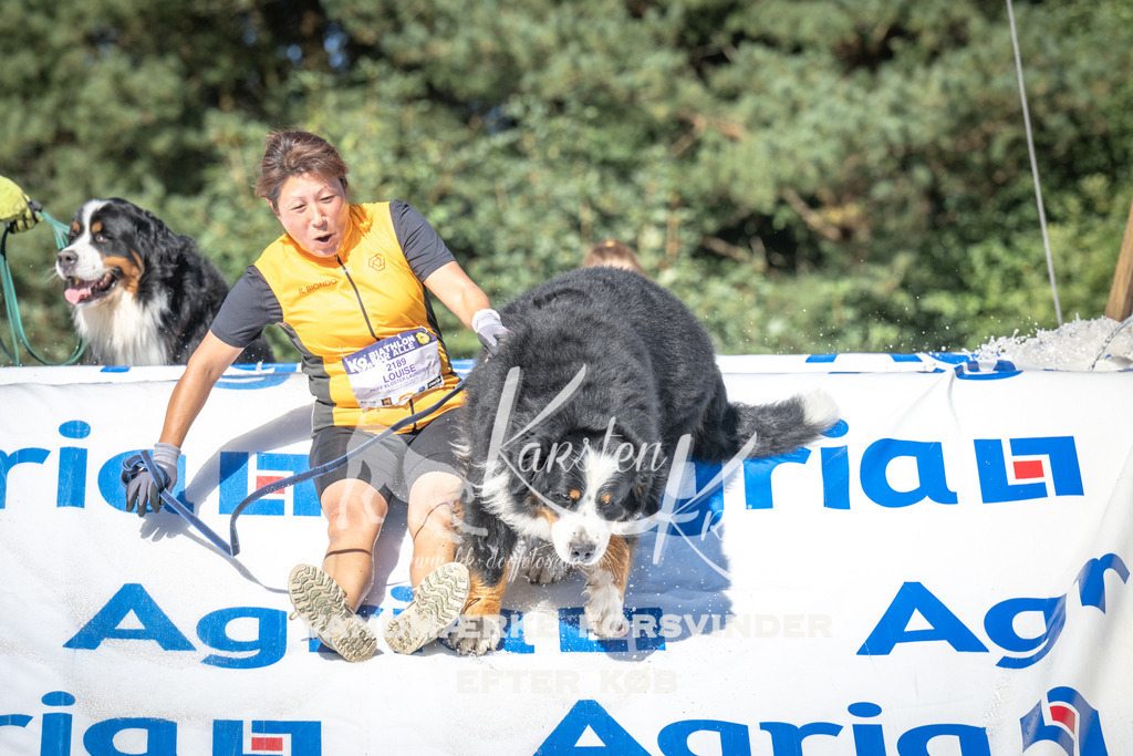 1623_ZZ99677 | kk-dogfotos