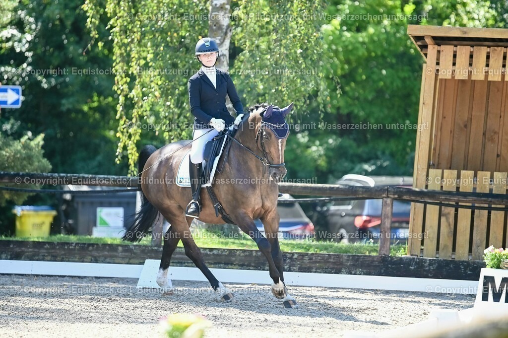 20230908_06_Dressur-L-Trense_0382 | equistock