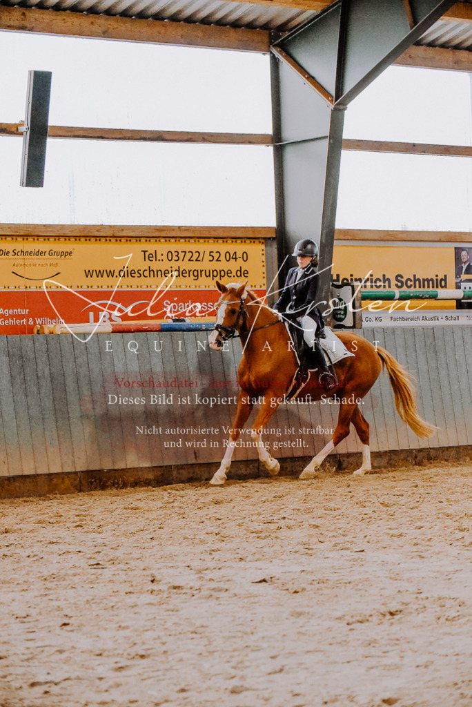 DSC_7693 | Pferde- und Turnierfotografie in Westsachsen. Pferdeportraits, Auftragszeichnungen und intuitive Kunst.