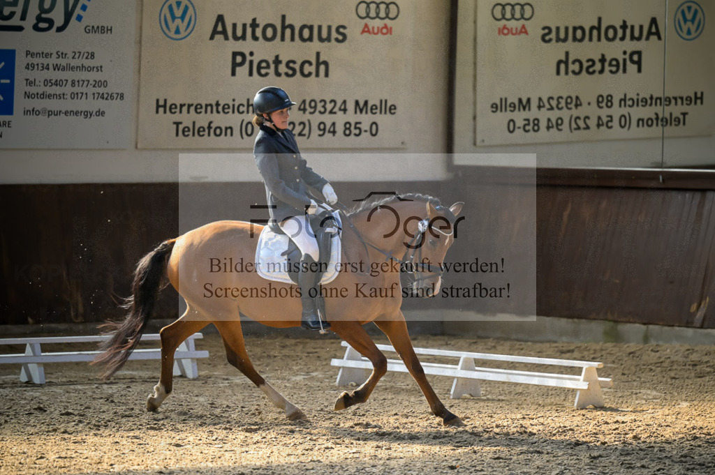 Reitturnier Voxtrup | Entdecke hochwertige Reitturnierfotos von Foto Oger. Professionell, emotional und authentisch – jetzt Lieblingsmomente im Shop bestellen.Deutschlandweite Turnierfotografie. - Realisiert mit Pictrs.com