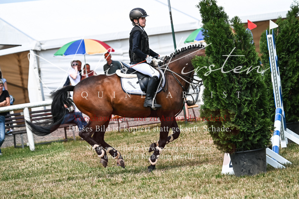 DSC_9648 | Pferde- und Turnierfotografie in Westsachsen. Pferdeportraits, Auftragszeichnungen und intuitive Kunst.