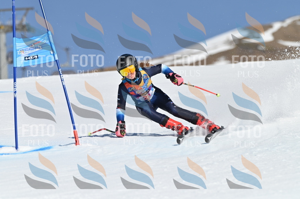 BGV_7954 | holidayphoto