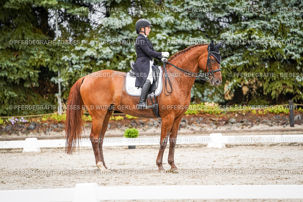 DSC09602 | Pferdegrafie