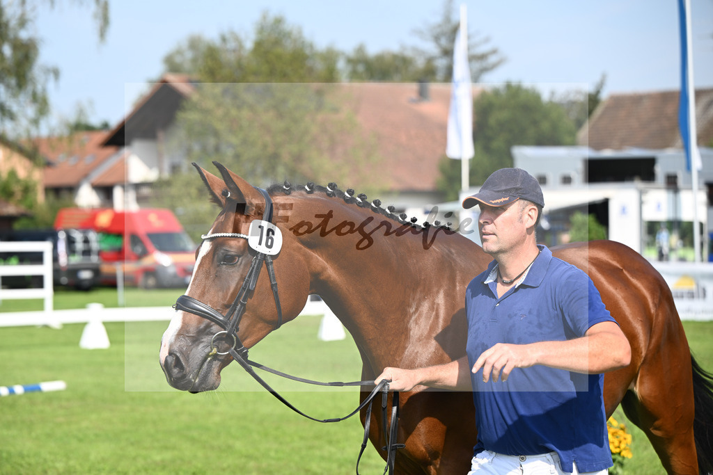 Kat-Nr. 16 Totytchella_Wimmer_34240360 | hf-fotografie - Realisiert mit Pictrs.com