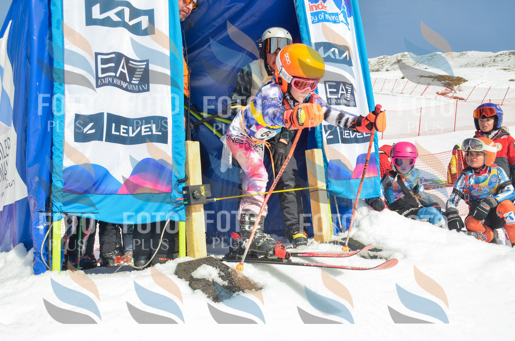 _ELE5311 | holidayphoto