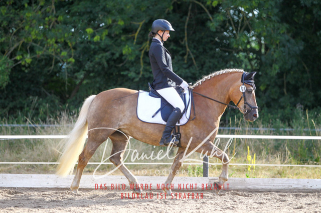 DKP45496 | Turniersportfotografie; Pferdefotografie; Dressurfotografie