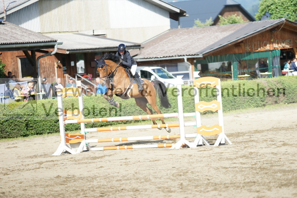DSC05564 | equestrian-live-com