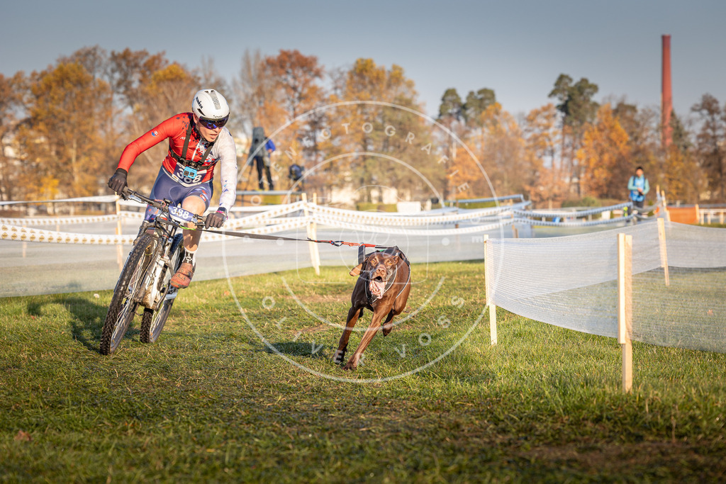 CaniXpix_0L8A3817 | Hundefotografie, Tierfotograf, Pfotenfotografie, Fotoshooting Hund, Hunde Portrait, Hundesport, Hundeportraits, Heideshooting, Hunde, Sportfotograf, Hundefotograf, Turnierhundsport, THS,  - Realisiert mit Pictrs.com