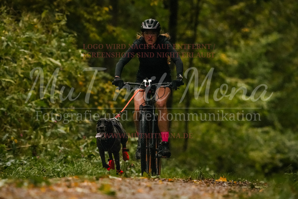 20251005_THS_Turnier-89 | MuT (Mensch und Tier) mit Mona - Fotografie und Tierkommunikation - Realisiert mit Pictrs.com