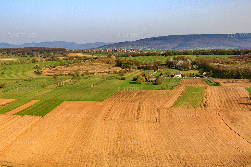 Vue aérienne: Route de Surbourg à Gunstett dans le département Bas Rhin, France – .Photo: IMG_63786.jpg prise le 30/03/2014 par Werner Riehm/FLY-FOTO.eu – Résolution de l'original: 4301 x 2867 px