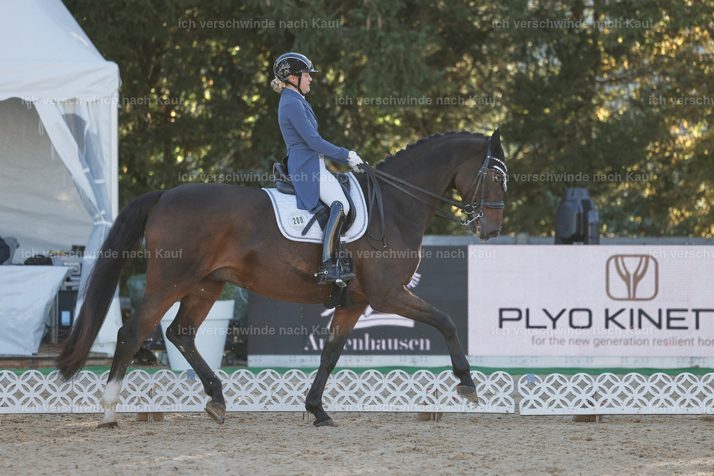 09_1-200-DRESSUR  S_  -StoibPH-5517 | working equitationturnier fotograf videograf stoibphotography marixx film working equitation deutschland reitsport turnierfotografie eventfotografie equestrian events