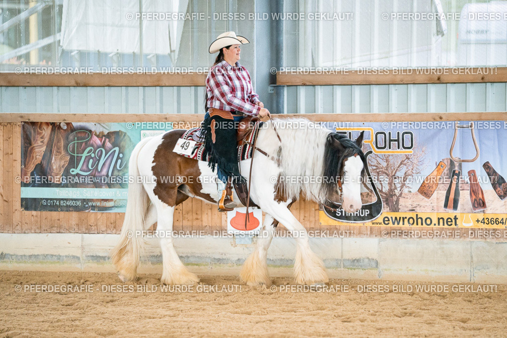 DSC00309 | Pferdegrafie