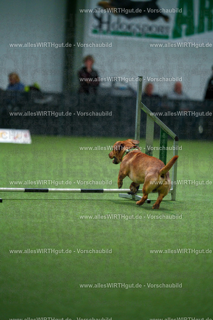 7R502348 | Professionelle Tierfotografie in Mönchengladbach von Daniel Wirth (allesWIRTHgut). Liebevolle & natürliche Bilder von Hunden & Katzen für unvergessliche Erinnerungen.