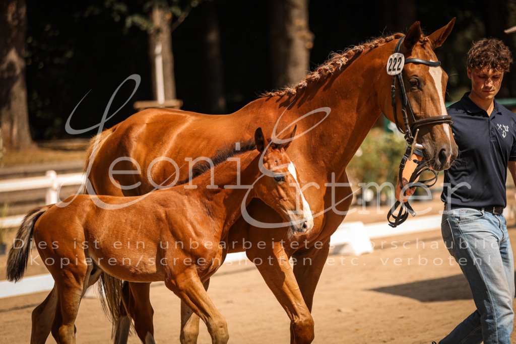 07.DoWBS00117 | Leoni Ertmer Photography - Realisiert mit Pictrs.com