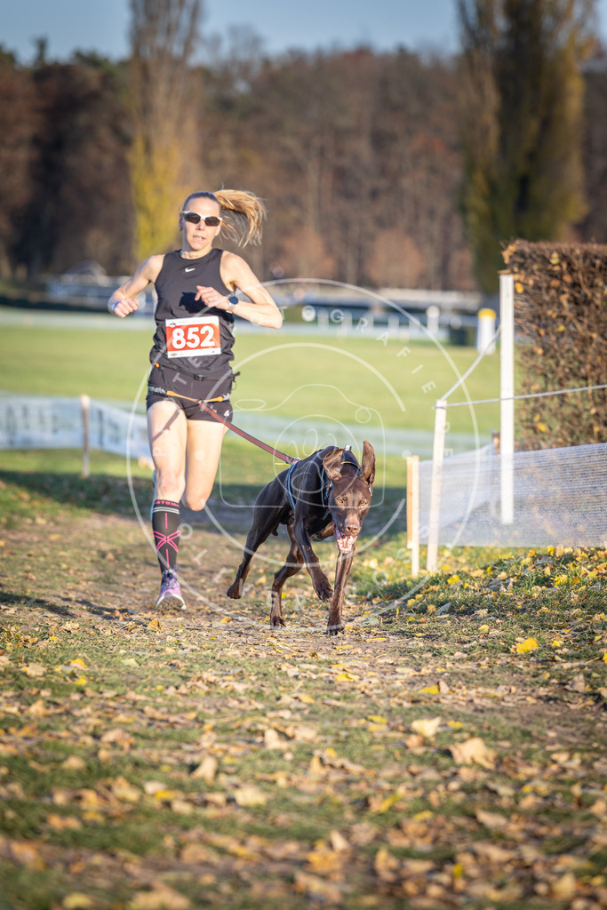 CaniXpix_DV3A3895 | Hundefotografie, Tierfotograf, Pfotenfotografie, Fotoshooting Hund, Hunde Portrait, Hundesport, Hundeportraits, Heideshooting, Hunde, Sportfotograf, Hundefotograf, Turnierhundsport, THS,  - Realisiert mit Pictrs.com