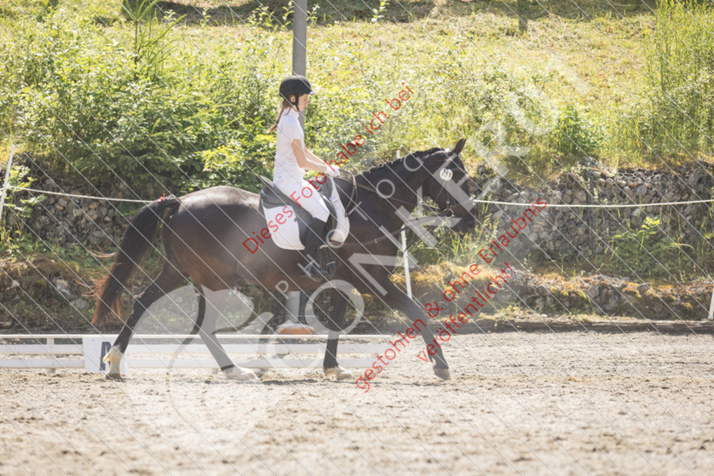IMG_4562 | Sport-, Event- und Tierfotos in Profiqualität. Einfach auswählen, bestellen und herunterladen. Dein Moment – perfekt festgehalten.